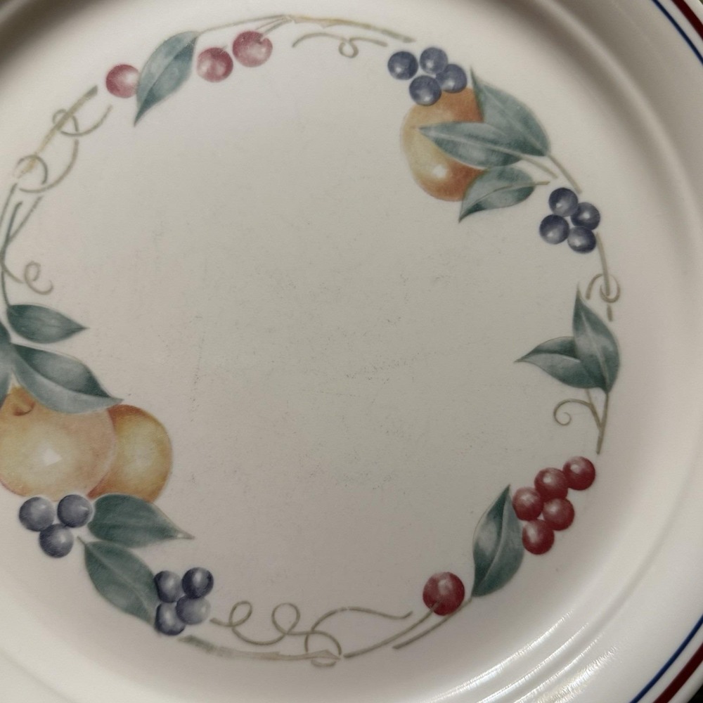 Corelle Abundance Vintage Dinner Plates 10" Vitrelle USA Set of 4 Cottagecore - Picture 3 of 8